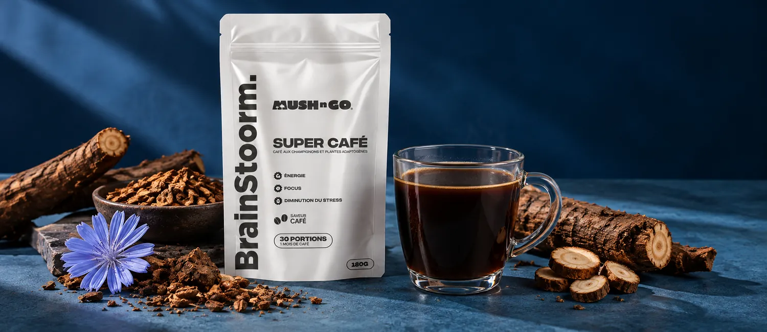 Brainstoorm Coffee bredvid rostad cikoriarot och en kopp cikoriakaffe