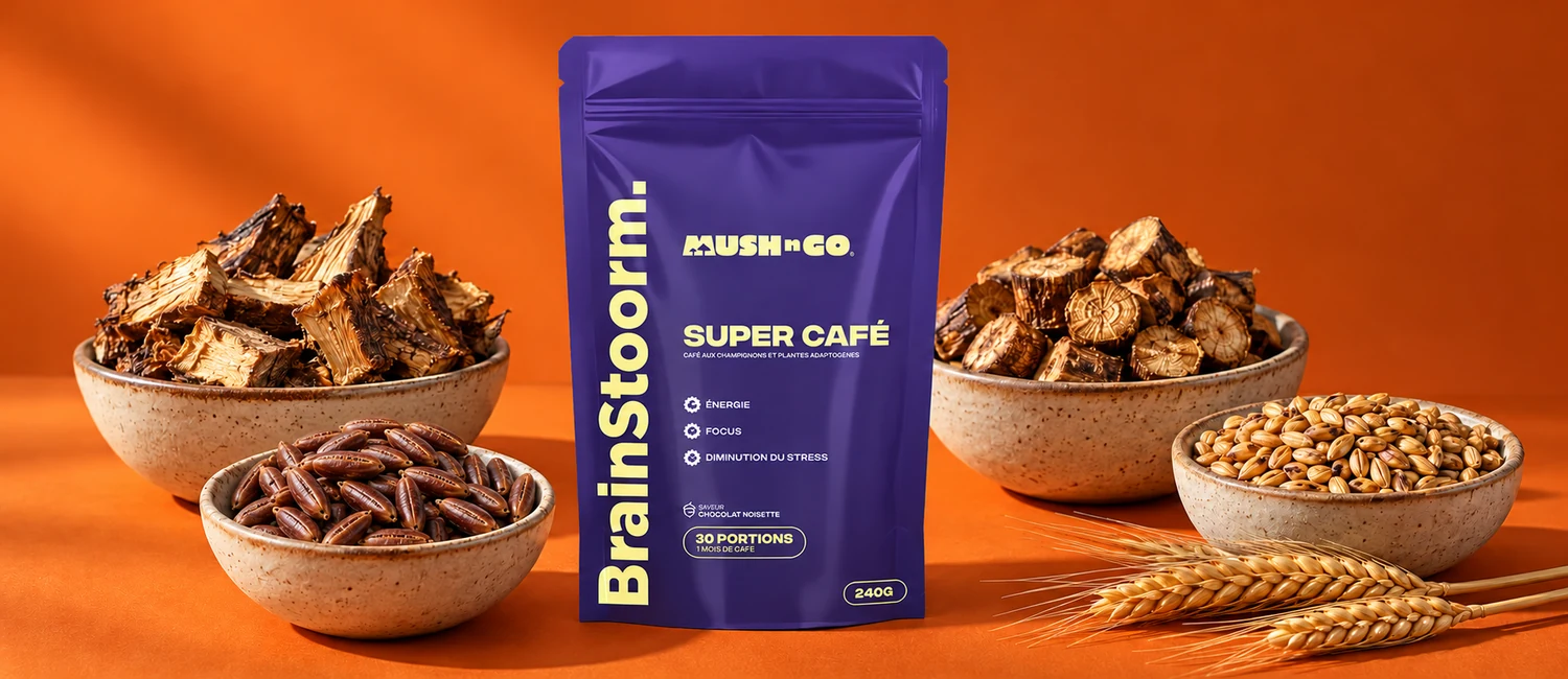 Brainstoorm från Mush N Go bland cikoria, maskrosrot, dadelkärnor och korn