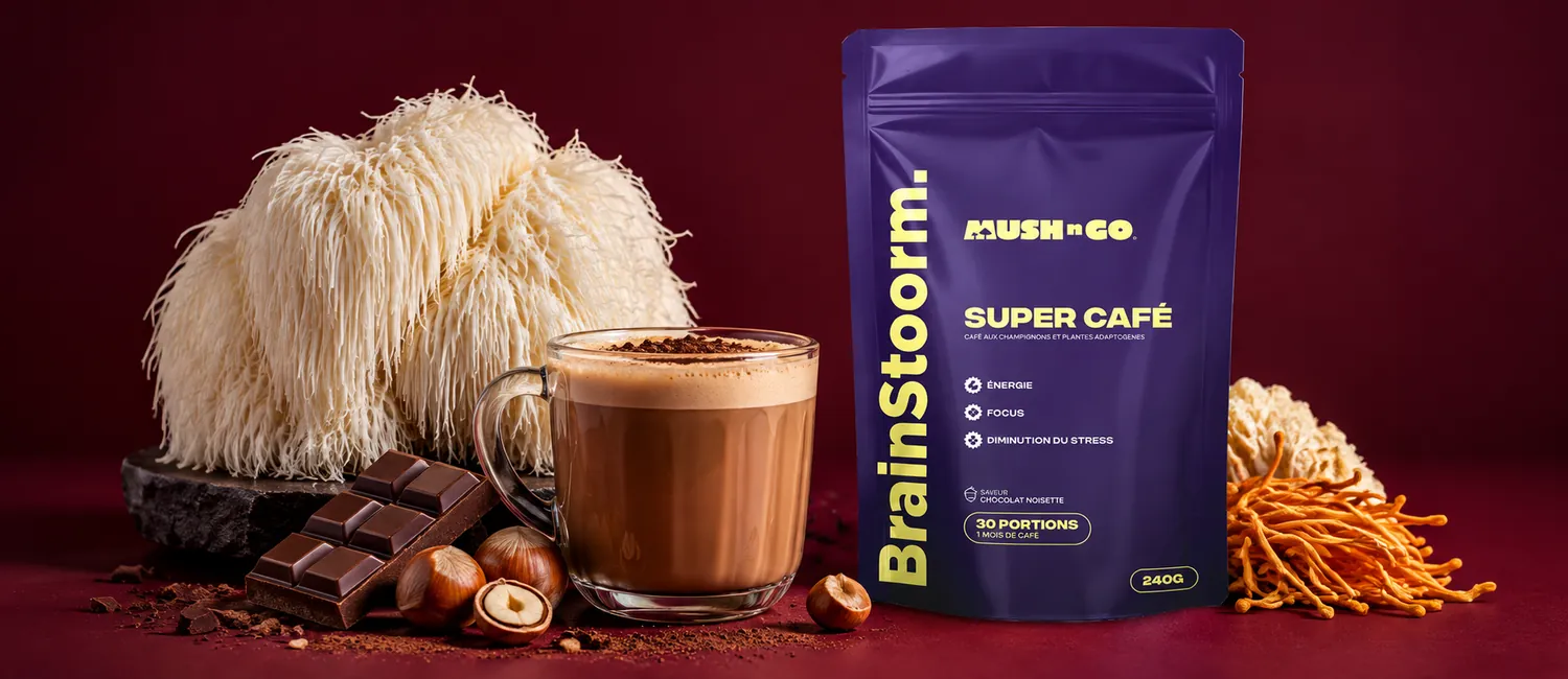 Brainstoorm från Mush N Go bredvid en färsk lion's mane